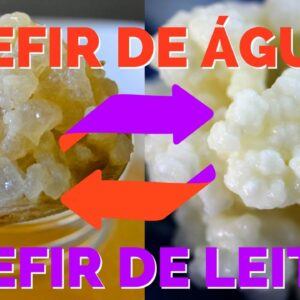 Combo Kefir de Leite e Kefir de Água