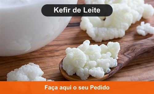 Kefir de Leite - Kefir em Coari - AM