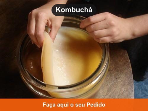 Kombuchá - Kefir em Coari - AM