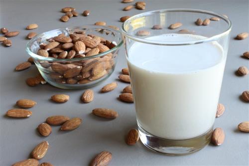 Kefir de Leite Vegetal