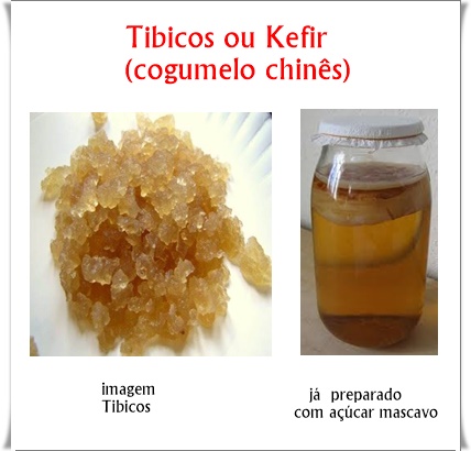 Tibicos Kefir de Água ou Cogumelo Chinês